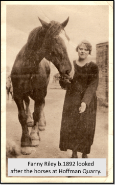 Screenshot 2018-03-03 18.25.27