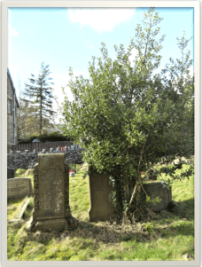 Screenshot 2018-04-12 09.38.58